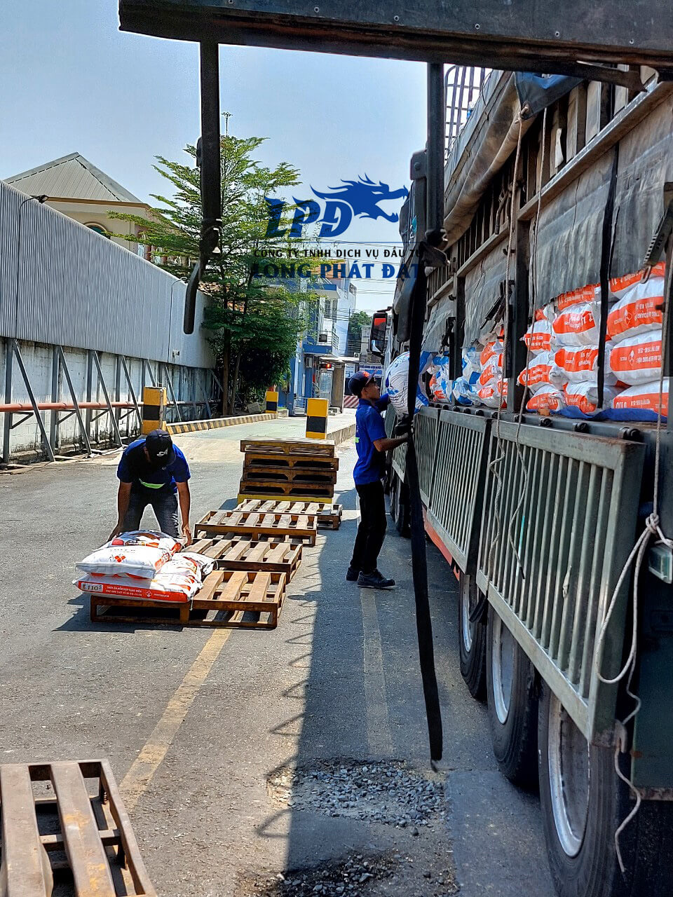Bốc xếp tại nhà máy cám ADM ở Bình Dương