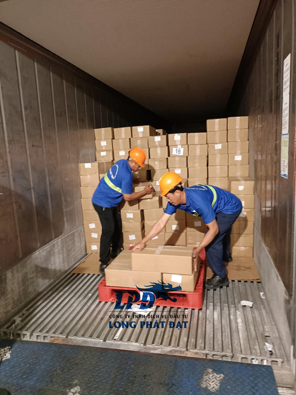 Bốc xếp tại kho lạnh Meito và Aj Total